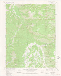 Curley Peak Colorado Historical topographic map, 1:24000 scale, 7.5 X 7.5 Minute, Year 1980
