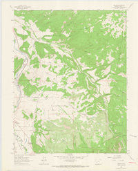 Dallas Colorado Historical topographic map, 1:24000 scale, 7.5 X 7.5 Minute, Year 1963