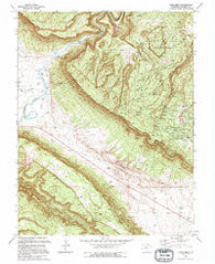Davis Mesa Colorado Historical topographic map, 1:24000 scale, 7.5 X 7.5 Minute, Year 1994