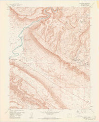 Davis Mesa Colorado Historical topographic map, 1:24000 scale, 7.5 X 7.5 Minute, Year 1960