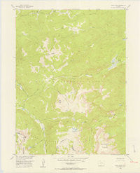 Davis Peak Colorado Historical topographic map, 1:24000 scale, 7.5 X 7.5 Minute, Year 1955