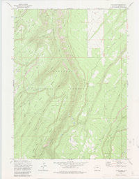 Davis Peak Colorado Historical topographic map, 1:24000 scale, 7.5 X 7.5 Minute, Year 1973