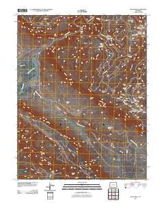 Davis Mesa Colorado Historical topographic map, 1:24000 scale, 7.5 X 7.5 Minute, Year 2011