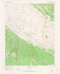 Dawson Draw Colorado Historical topographic map, 1:24000 scale, 7.5 X 7.5 Minute, Year 1964