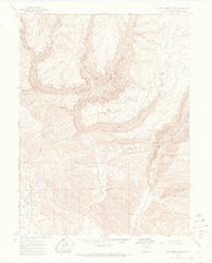 Deep Creek Point Colorado Historical topographic map, 1:24000 scale, 7.5 X 7.5 Minute, Year 1966