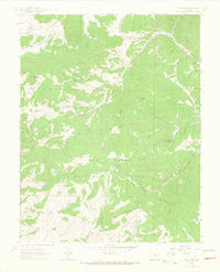 Deer Peak Colorado Historical topographic map, 1:24000 scale, 7.5 X 7.5 Minute, Year 1963