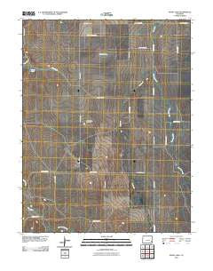 Denny Lake Colorado Historical topographic map, 1:24000 scale, 7.5 X 7.5 Minute, Year 2010