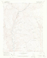 Devil Mountain Colorado Historical topographic map, 1:24000 scale, 7.5 X 7.5 Minute, Year 1964