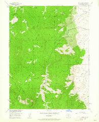Devils Head Colorado Historical topographic map, 1:24000 scale, 7.5 X 7.5 Minute, Year 1954