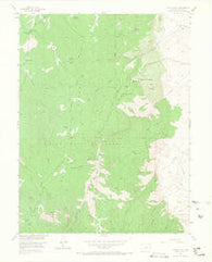 Devils Head Colorado Historical topographic map, 1:24000 scale, 7.5 X 7.5 Minute, Year 1954