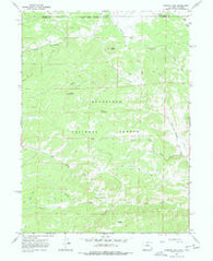 Diamond Peak Colorado Historical topographic map, 1:24000 scale, 7.5 X 7.5 Minute, Year 1967