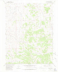 Dicks Peak Colorado Historical topographic map, 1:24000 scale, 7.5 X 7.5 Minute, Year 1983