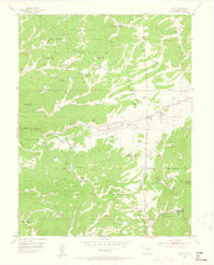 Divide Colorado Historical topographic map, 1:24000 scale, 7.5 X 7.5 Minute, Year 1954