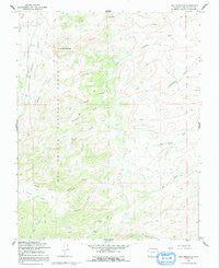 Dog Mountain Colorado Historical topographic map, 1:24000 scale, 7.5 X 7.5 Minute, Year 1967