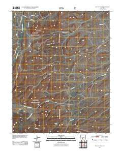 Dog Mountain Colorado Historical topographic map, 1:24000 scale, 7.5 X 7.5 Minute, Year 2011