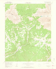 Dolores Peak Colorado Historical topographic map, 1:24000 scale, 7.5 X 7.5 Minute, Year 1953