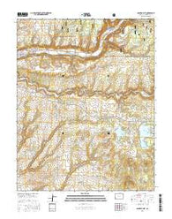 Dolores East Colorado Current topographic map, 1:24000 scale, 7.5 X 7.5 Minute, Year 2016