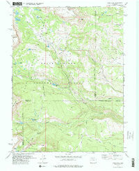 Dome Peak Colorado Historical topographic map, 1:24000 scale, 7.5 X 7.5 Minute, Year 1977