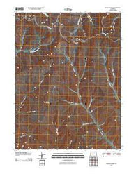 Douglas Pass Colorado Historical topographic map, 1:24000 scale, 7.5 X 7.5 Minute, Year 2010