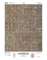 Dripping Spring Colorado Historical topographic map, 1:24000 scale, 7.5 X 7.5 Minute, Year 2010