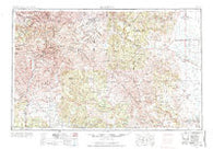 Durango Colorado Historical topographic map, 1:250000 scale, 1 X 2 Degree, Year 1945