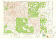 Durango Colorado Historical topographic map, 1:250000 scale, 1 X 2 Degree, Year 1961