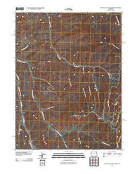 East Evacuation Creek Colorado Historical topographic map, 1:24000 scale, 7.5 X 7.5 Minute, Year 2010