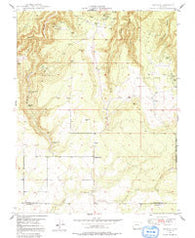 Egnar Colorado Historical topographic map, 1:24000 scale, 7.5 X 7.5 Minute, Year 1949