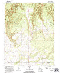 Egnar Colorado Historical topographic map, 1:24000 scale, 7.5 X 7.5 Minute, Year 1994