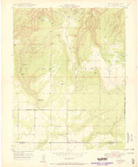 Egnar Colorado Historical topographic map, 1:24000 scale, 7.5 X 7.5 Minute, Year 1950