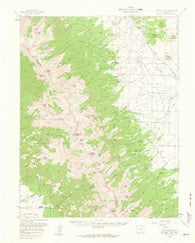 Electric Peak Colorado Historical topographic map, 1:62500 scale, 15 X 15 Minute, Year 1959
