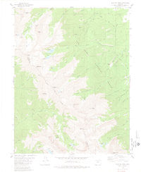 Electric Peak Colorado Historical topographic map, 1:24000 scale, 7.5 X 7.5 Minute, Year 1980