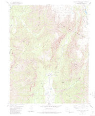 Elephant Head Rock Colorado Historical topographic map, 1:24000 scale, 7.5 X 7.5 Minute, Year 1984