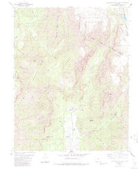 Elephant Head Rock Colorado Historical topographic map, 1:24000 scale, 7.5 X 7.5 Minute, Year 1984