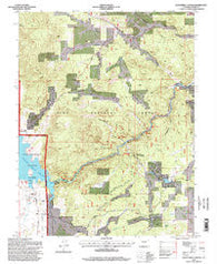 Elevenmile Canyon Colorado Historical topographic map, 1:24000 scale, 7.5 X 7.5 Minute, Year 1994