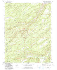 Escalante Forks Colorado Historical topographic map, 1:24000 scale, 7.5 X 7.5 Minute, Year 1973