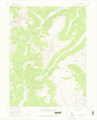 Fall River Pass Colorado Historical topographic map, 1:24000 scale, 7.5 X 7.5 Minute, Year 1958