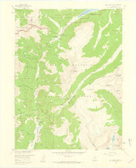 Fall River Pass Colorado Historical topographic map, 1:24000 scale, 7.5 X 7.5 Minute, Year 1958