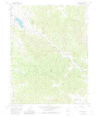 Farnum Peak Colorado Historical topographic map, 1:24000 scale, 7.5 X 7.5 Minute, Year 1956