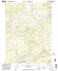 Farwell Mountain Colorado Historical topographic map, 1:24000 scale, 7.5 X 7.5 Minute, Year 2000