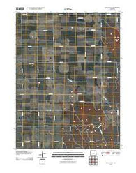Fiddler Peak Colorado Historical topographic map, 1:24000 scale, 7.5 X 7.5 Minute, Year 2010
