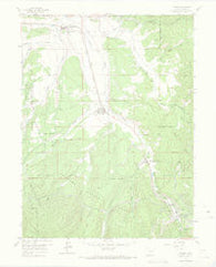 Fraser Colorado Historical topographic map, 1:24000 scale, 7.5 X 7.5 Minute, Year 1957