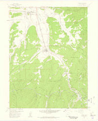 Fraser Colorado Historical topographic map, 1:24000 scale, 7.5 X 7.5 Minute, Year 1957