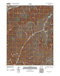 Garvey Canyon Colorado Historical topographic map, 1:24000 scale, 7.5 X 7.5 Minute, Year 2010