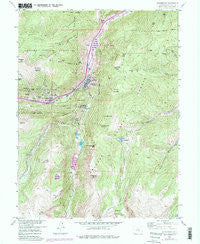 Georgetown Colorado Historical topographic map, 1:24000 scale, 7.5 X 7.5 Minute, Year 1957