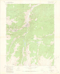 Georgetown Colorado Historical topographic map, 1:24000 scale, 7.5 X 7.5 Minute, Year 1957