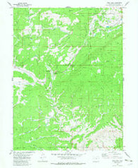 Gore Pass Colorado Historical topographic map, 1:24000 scale, 7.5 X 7.5 Minute, Year 1980