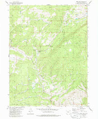 Gore Pass Colorado Historical topographic map, 1:24000 scale, 7.5 X 7.5 Minute, Year 1980