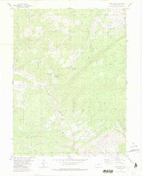 Gore Pass Colorado Historical topographic map, 1:24000 scale, 7.5 X 7.5 Minute, Year 1980