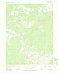 Gore Pass Colorado Historical topographic map, 1:24000 scale, 7.5 X 7.5 Minute, Year 1980